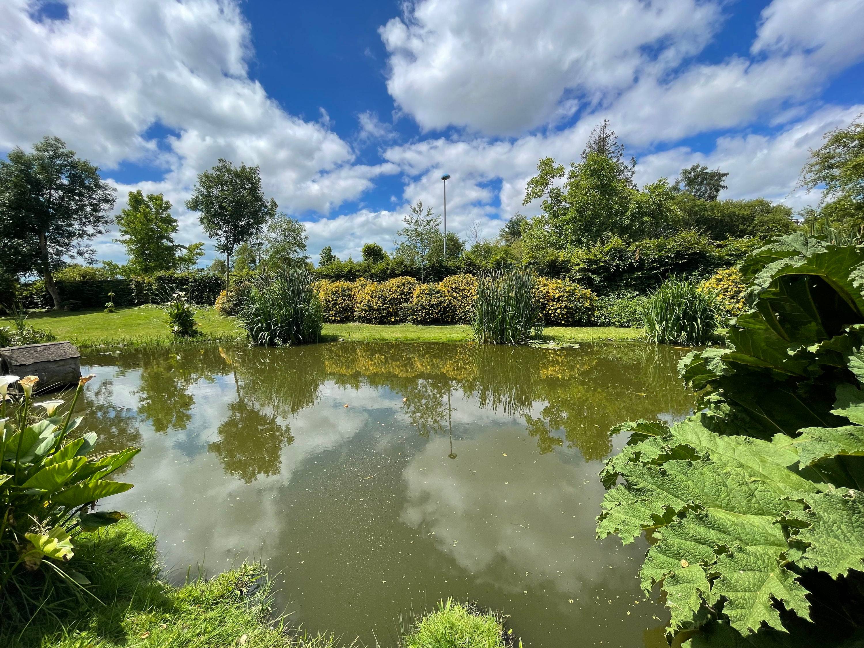 Une photo de l’annonce