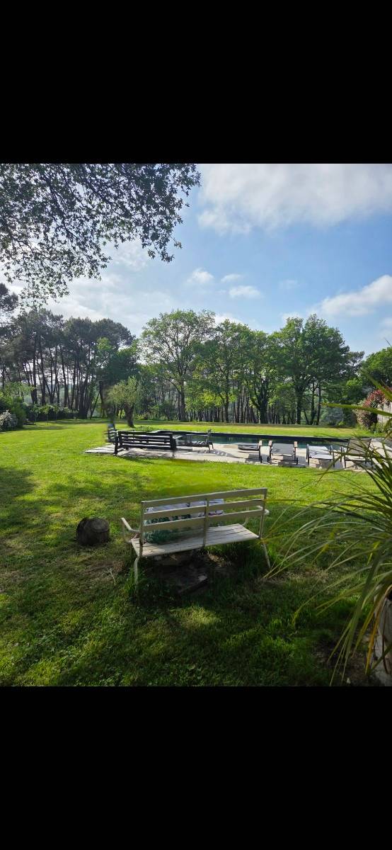 Une photo de l’annonce