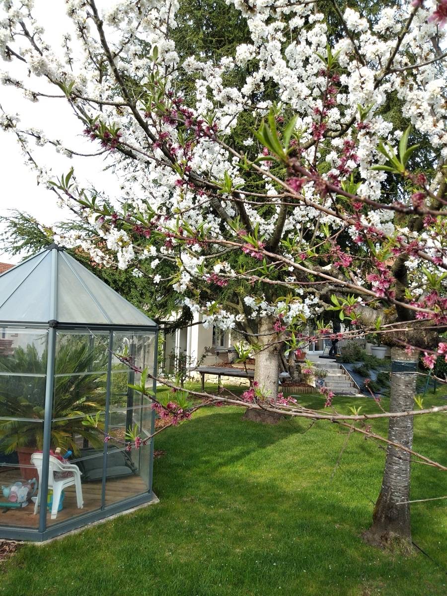 Vends maison de ville, 5 chambres, jardin clos