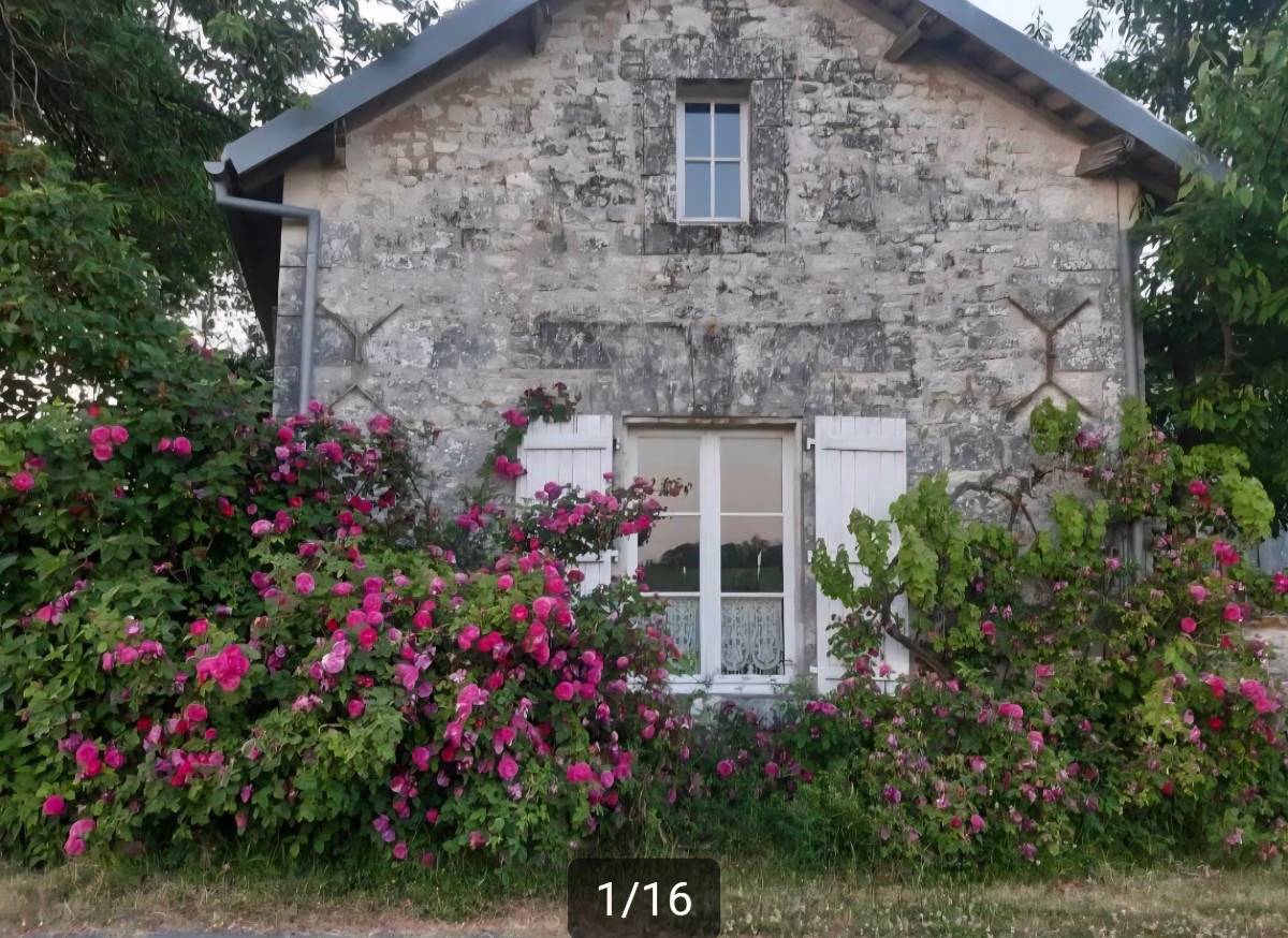 Une photo de l’annonce