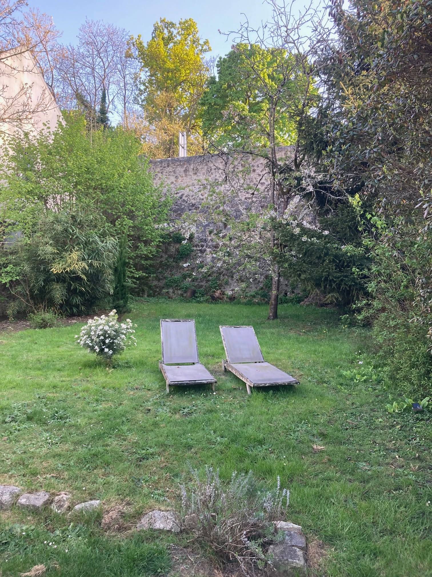 Une photo de l’annonce