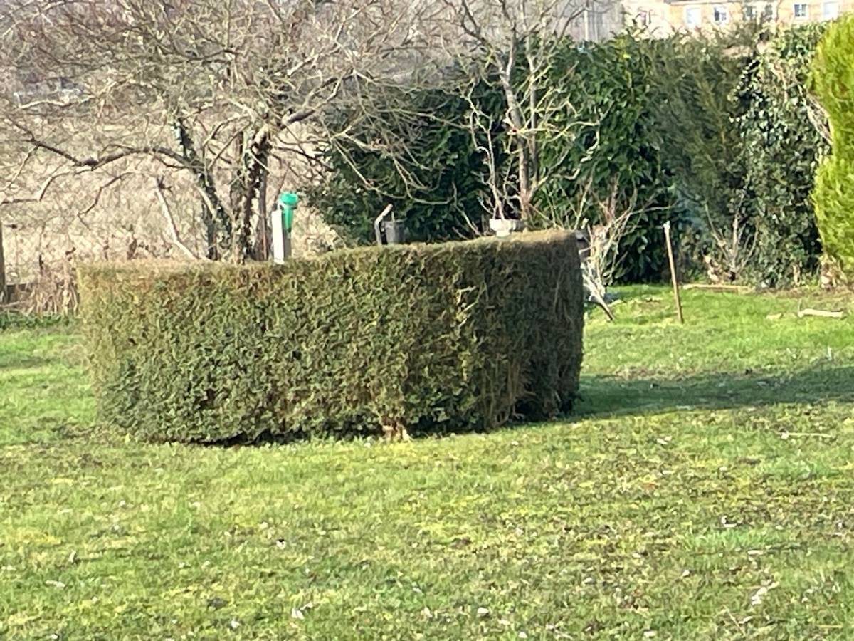 Une photo de l’annonce