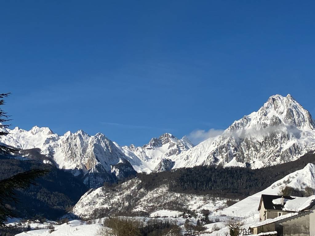 Une photo de l’annonce