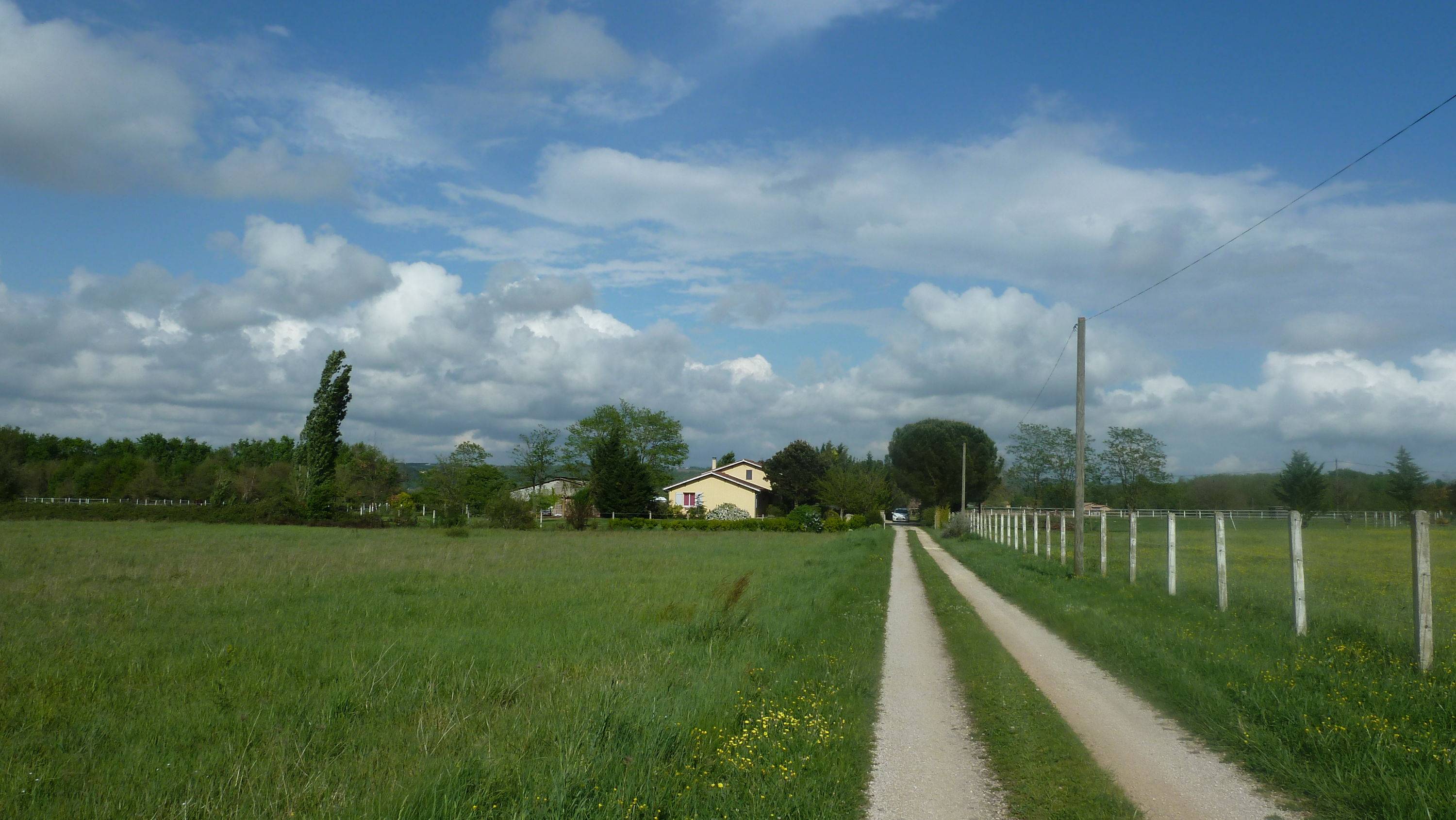 Une photo de l’annonce