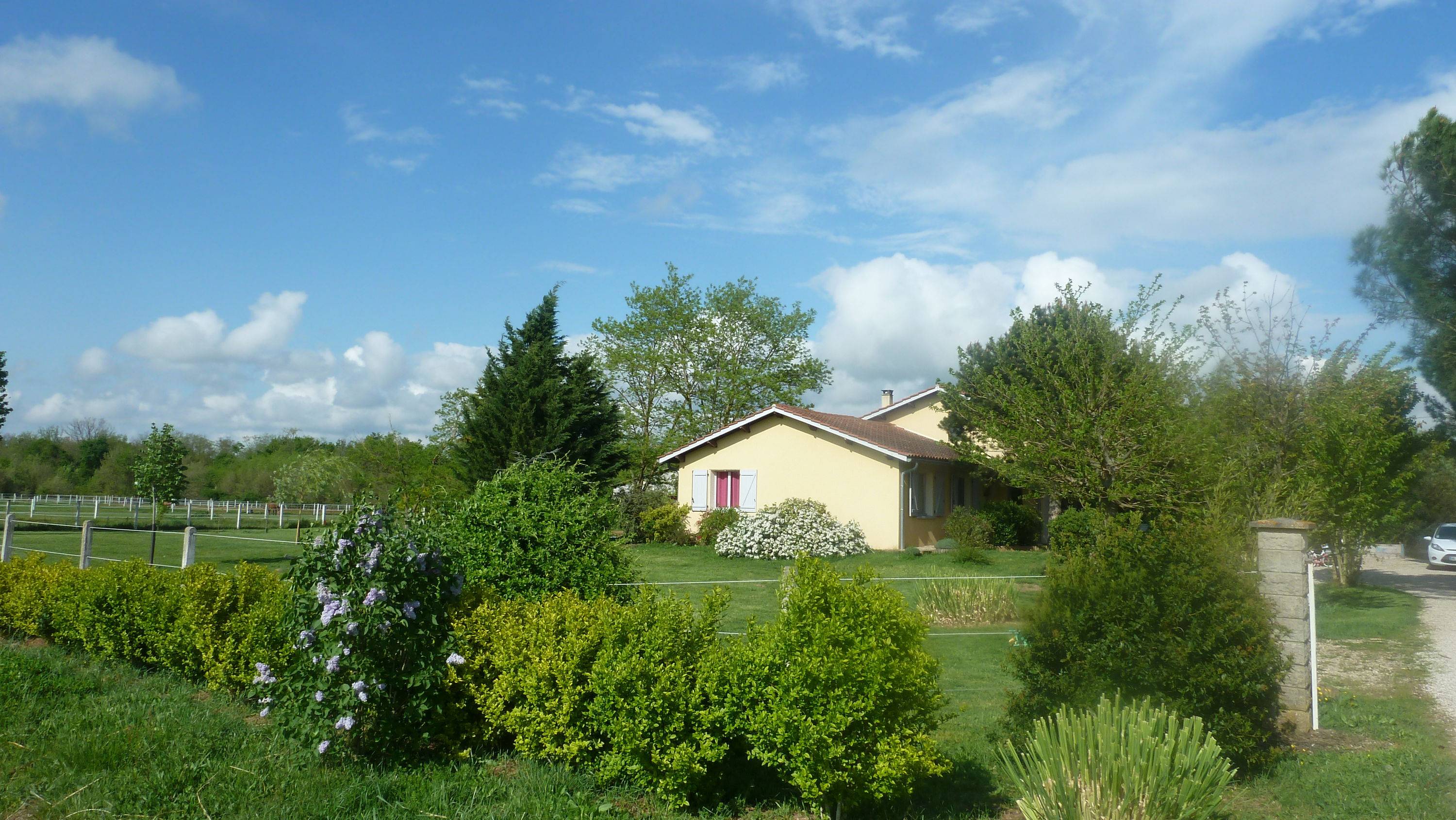 Une photo de l’annonce