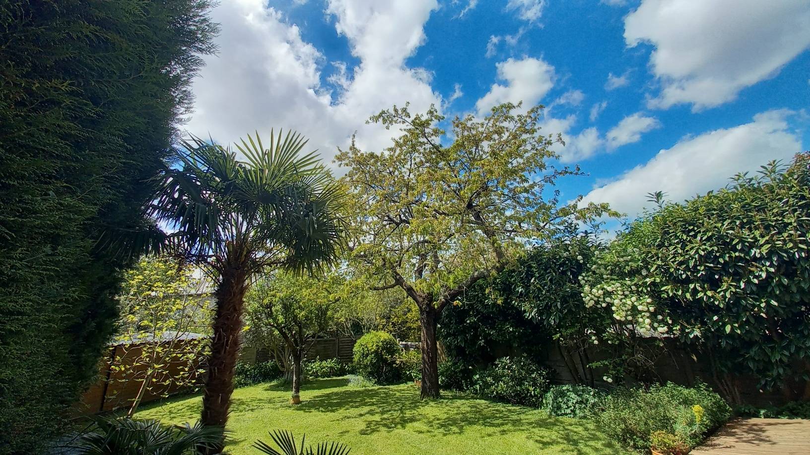 Une photo de l’annonce