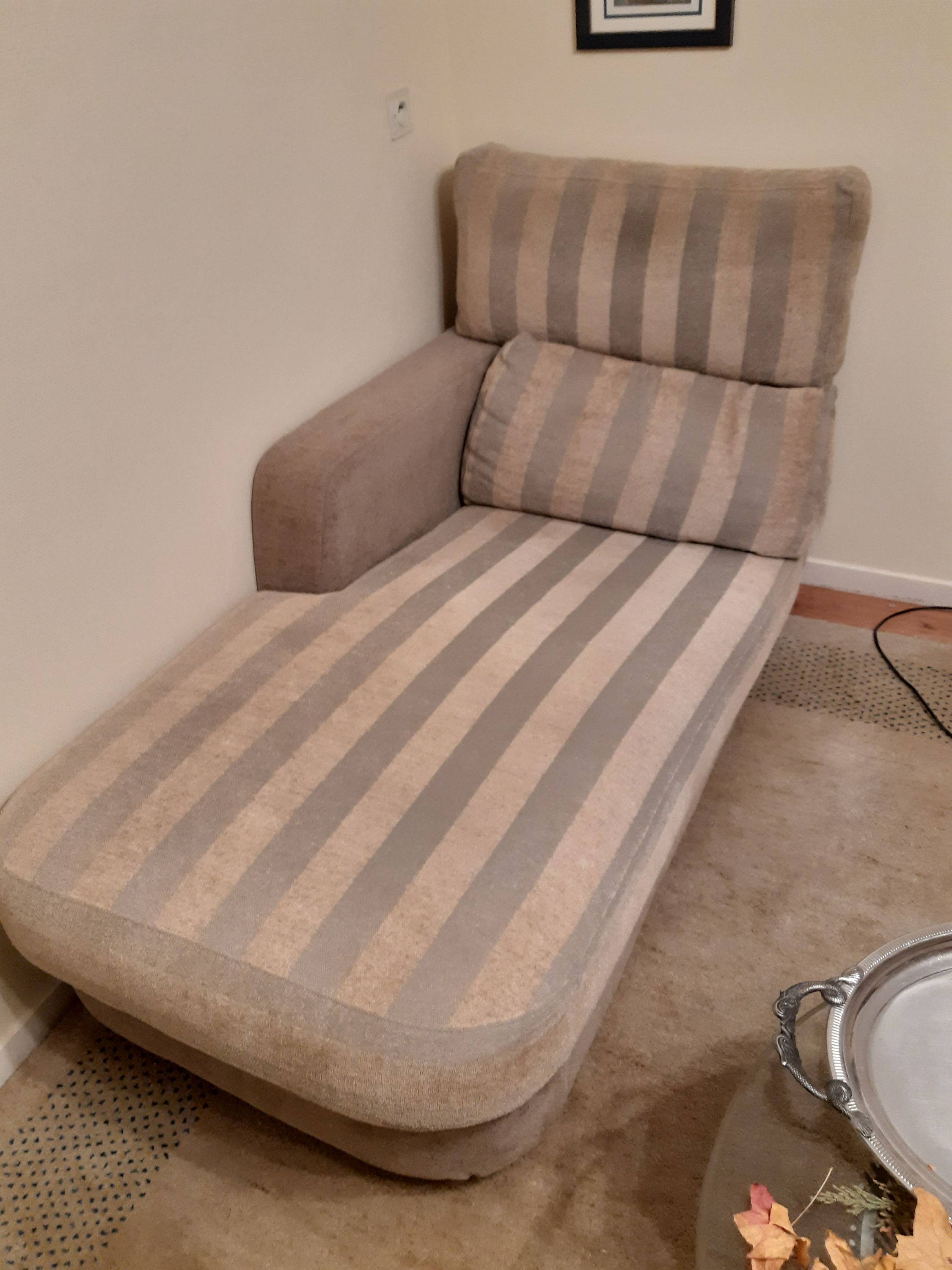 Vends Méridienne de Salon Confortable