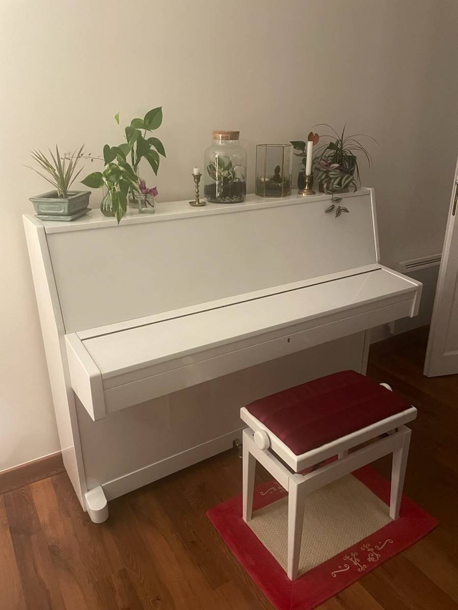 Vends piano Waldstein - Seine et Marne