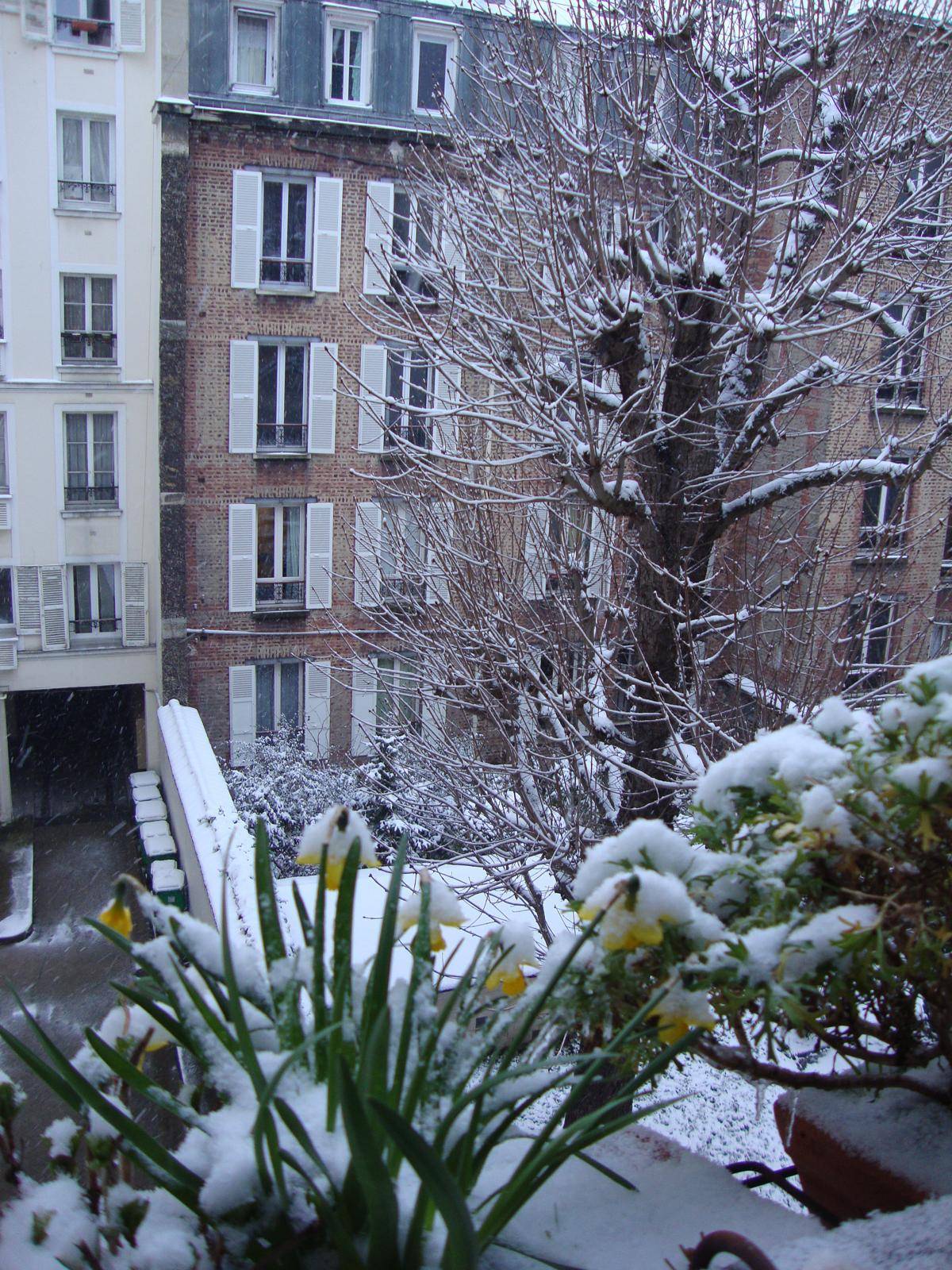 Une photo de l’annonce