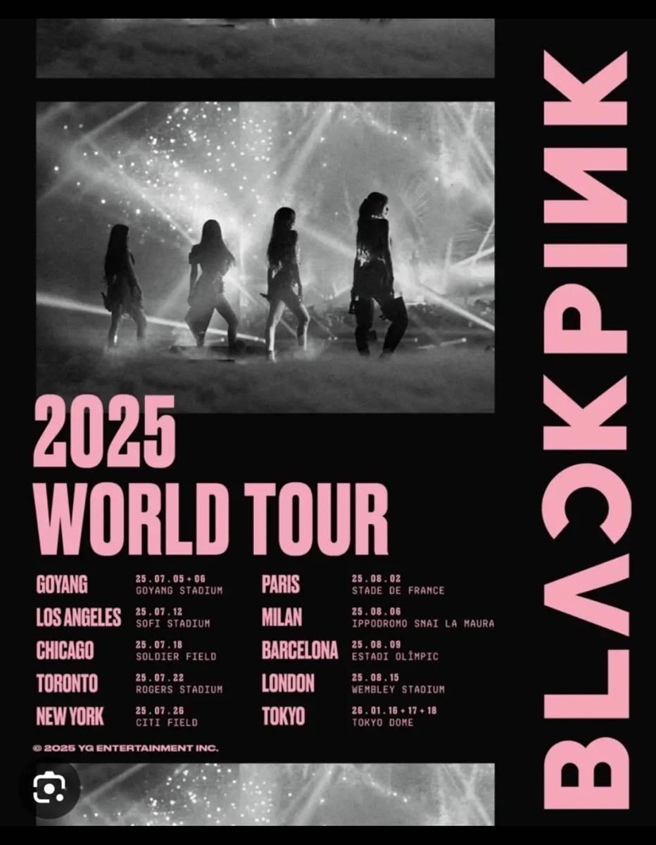 Vends 2 places pour le concert de BlackPink le 3 août 2025