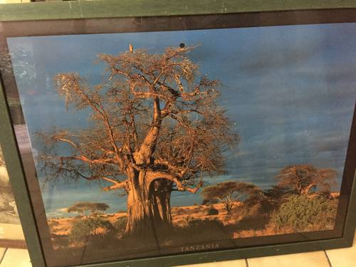 Vends poster Tanzanie encadré