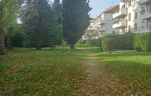 Une photo de l’annonce