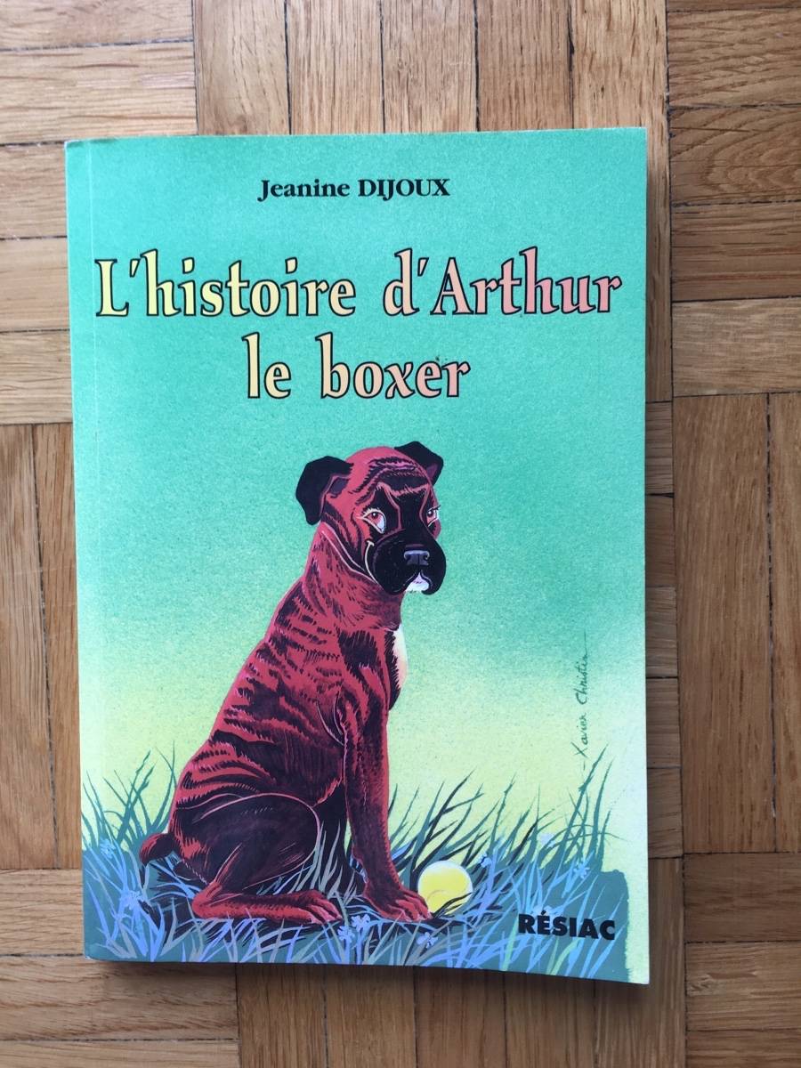 Vends roman pour jeune ado