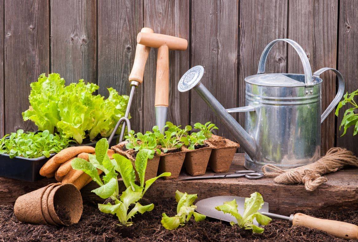 Vends service d’aide pour jardinage