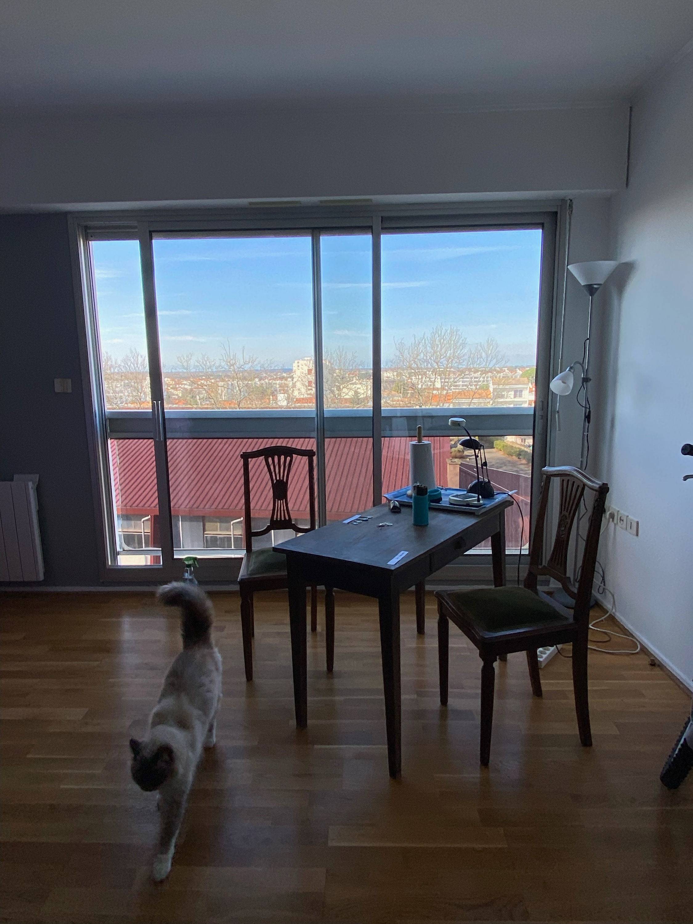 Une photo de l’annonce