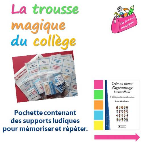 Vends supports ludiques pour mémoriser et répéter, niveau collège, en français, appréciés des élèves
