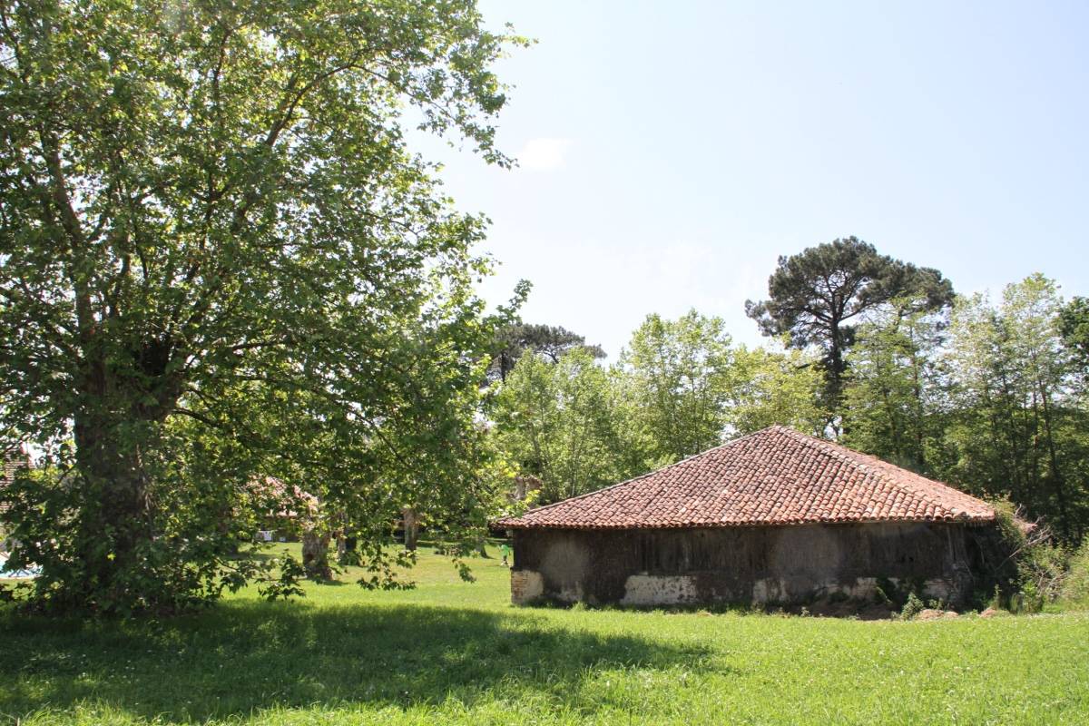 Vends terrain 3000m² constructible avec bergerie 100m² à rénover Saubion