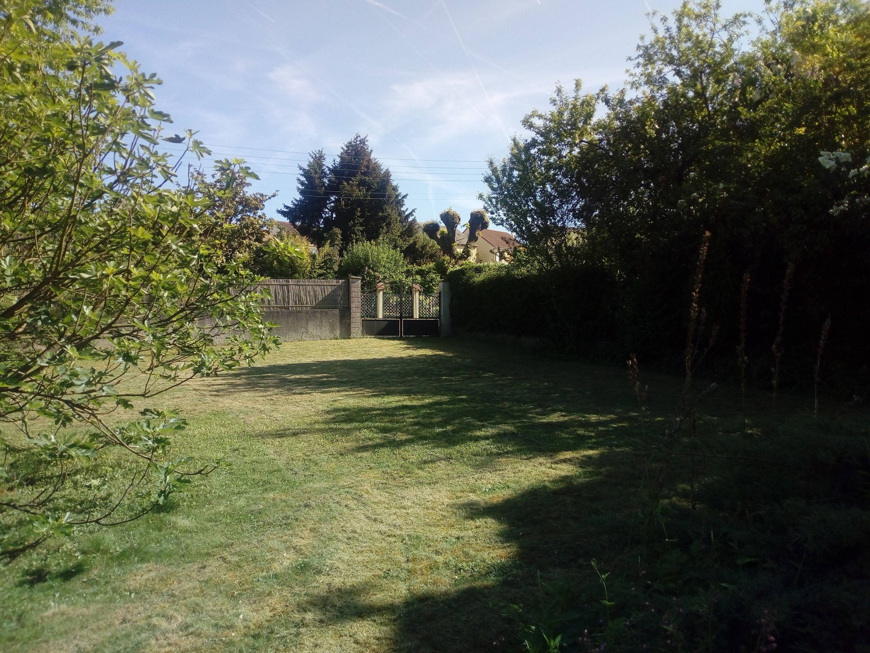 Une photo de l’annonce