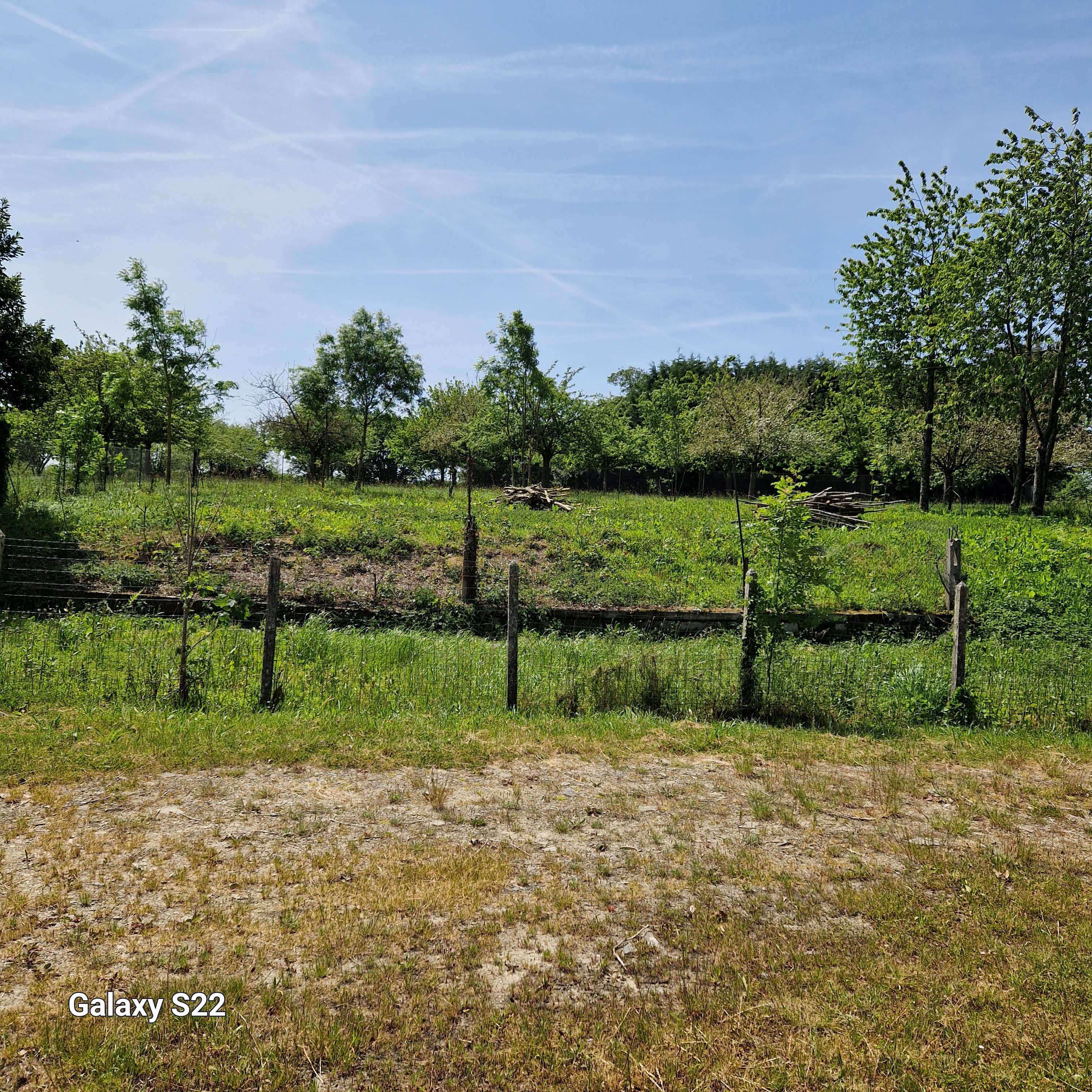 Une photo de l’annonce