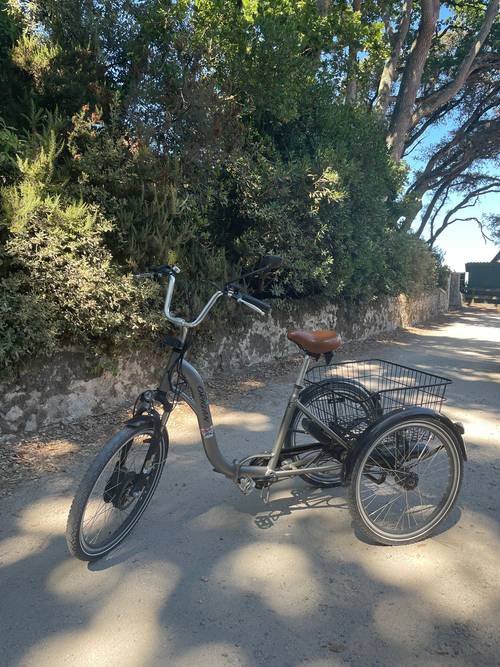 Vends tricycle électrique pliant Touring Elite
