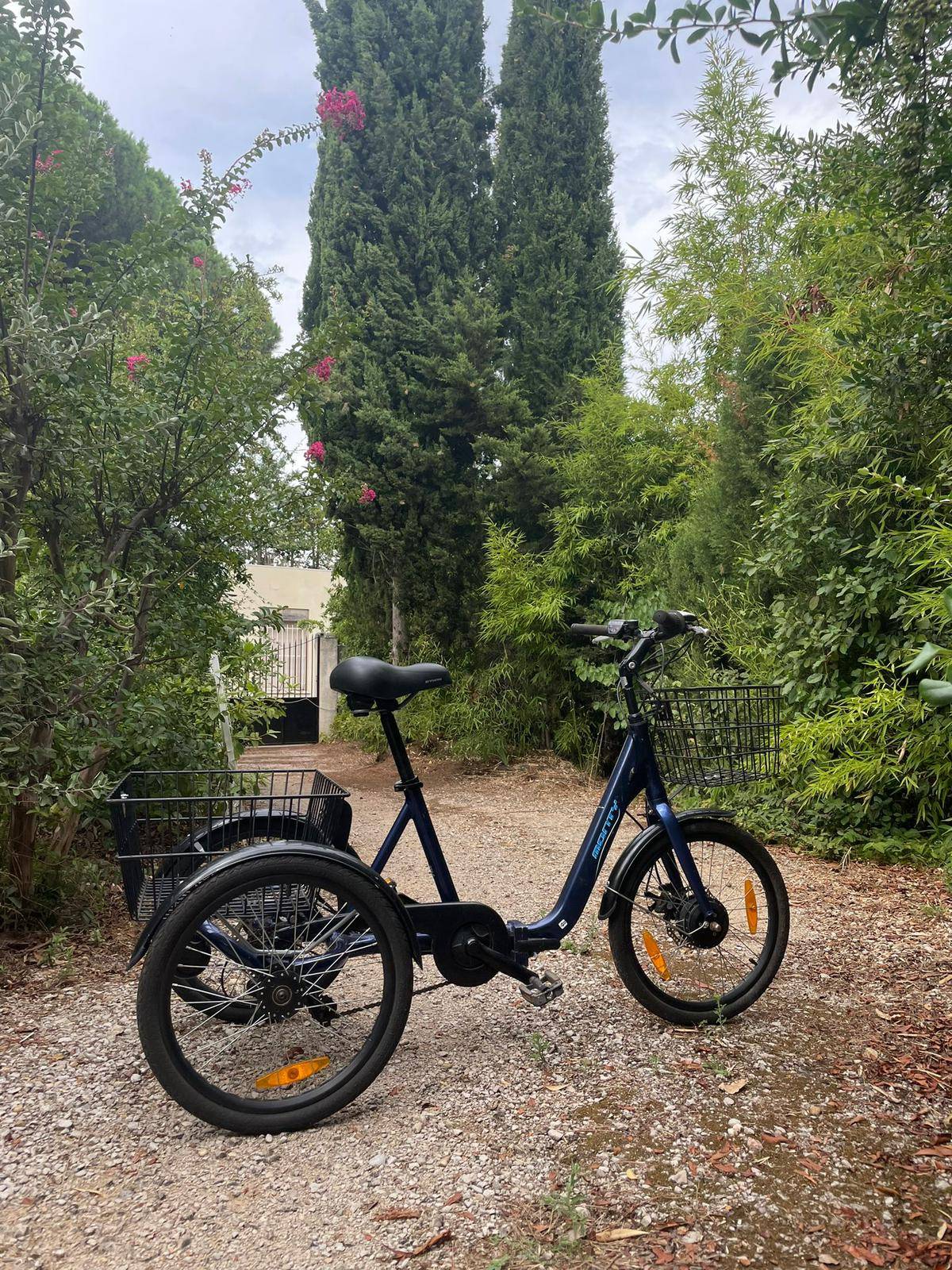 Vends tricycle EI 32 Monty - VAE