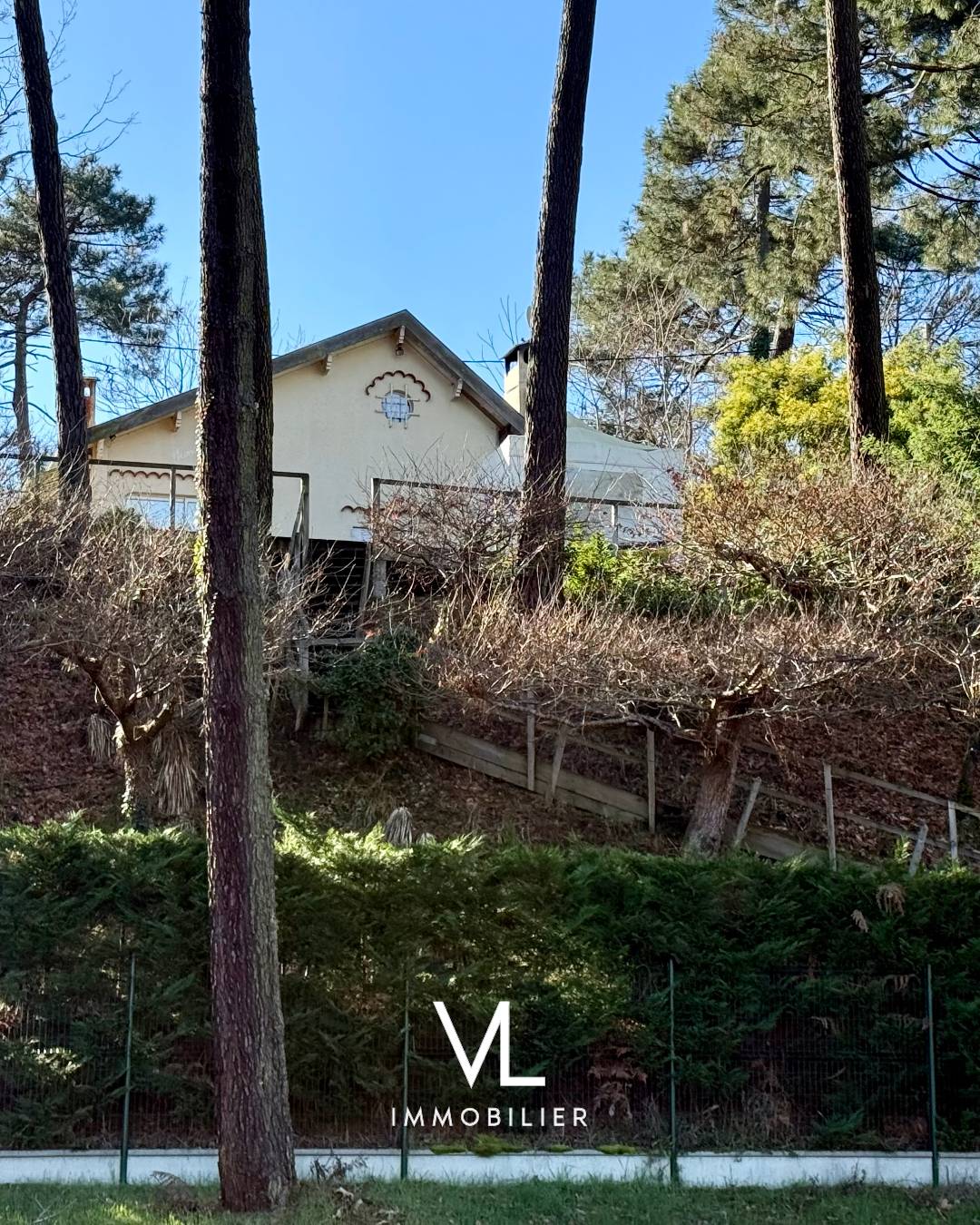 Une photo de l’annonce