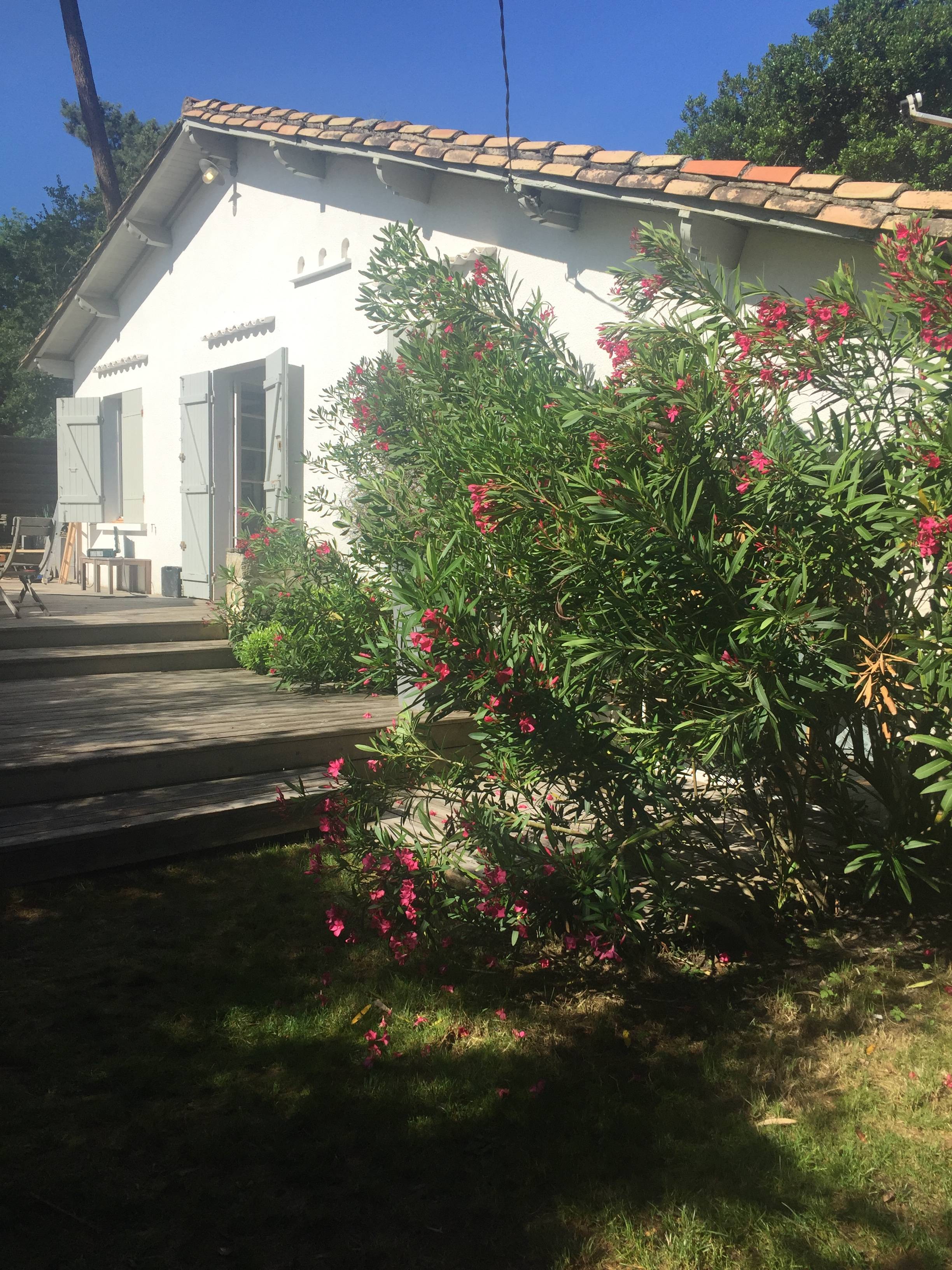 Loue maison 4 chambres, 8 couchages, Ledge-Cap-Ferret (33)