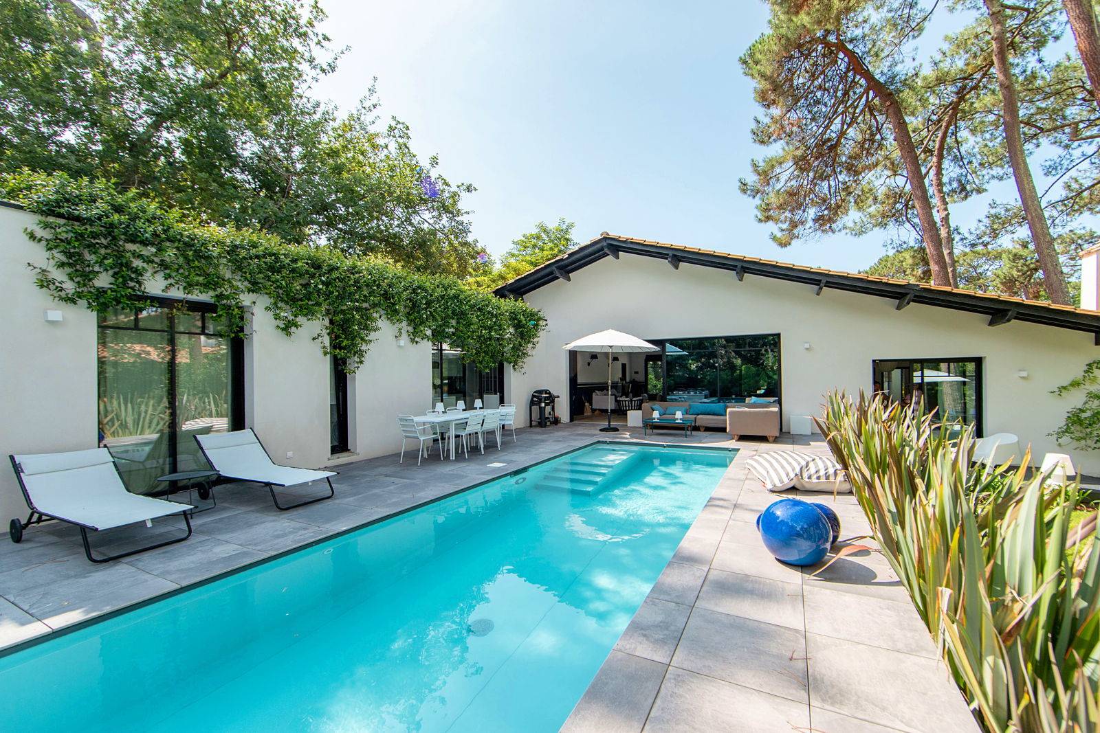 Une photo de l’annonce