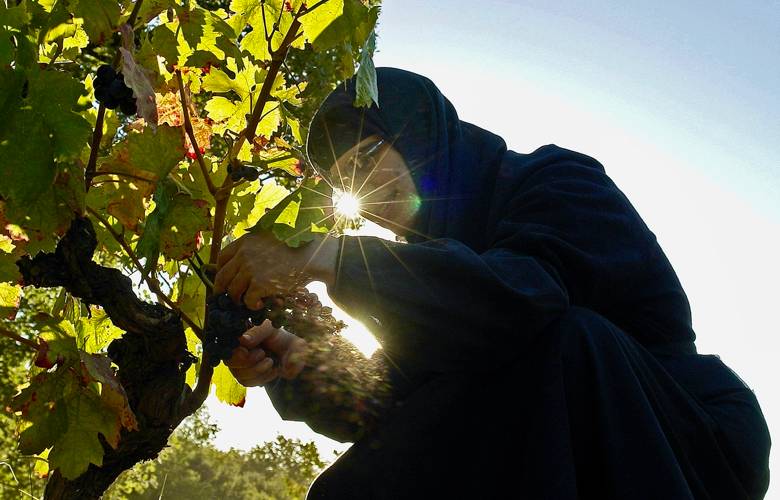 Vente exceptionnelle de Vin - Monastère de Solan sur Gens de Confiance