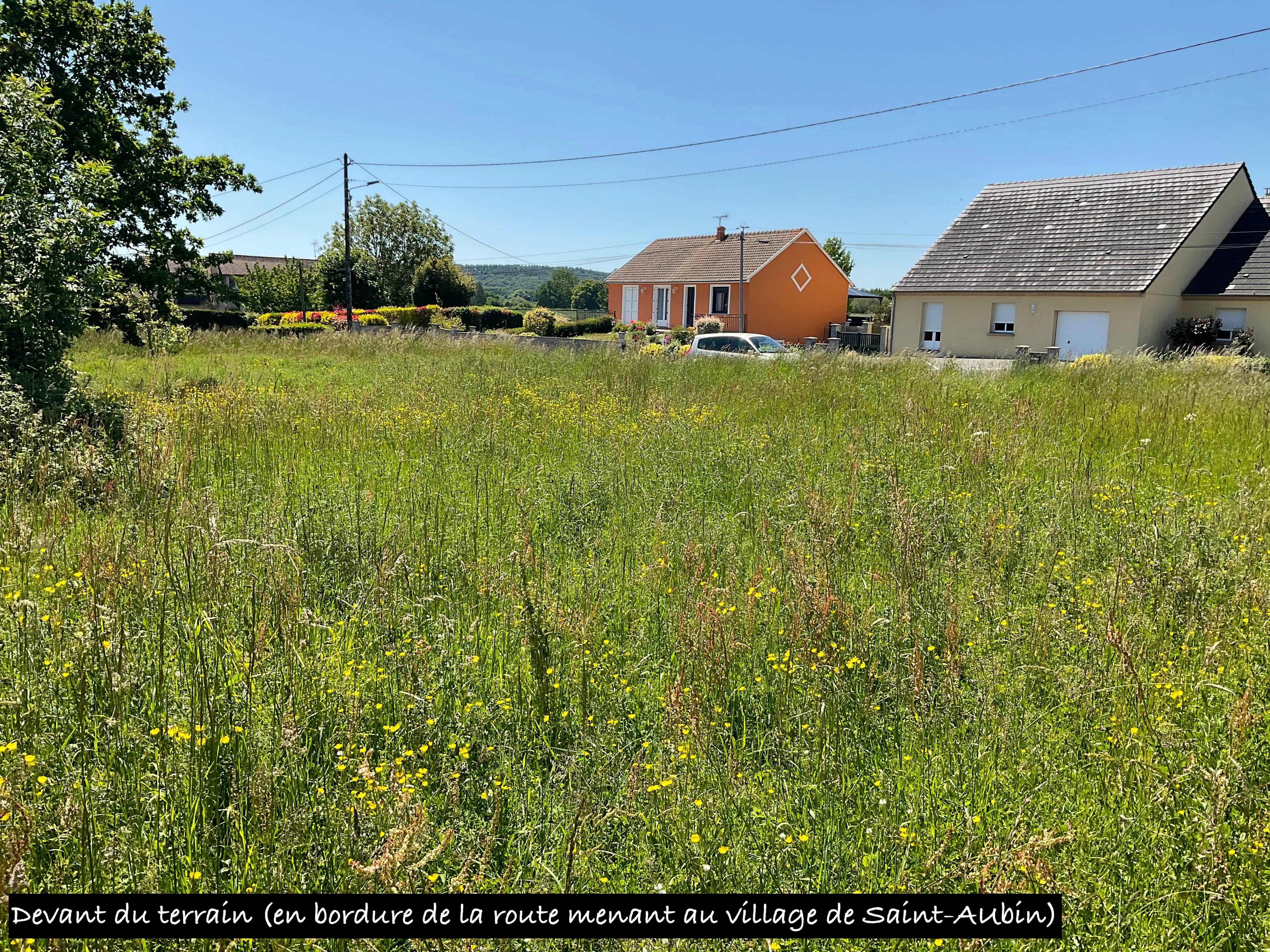 Une photo de l’annonce