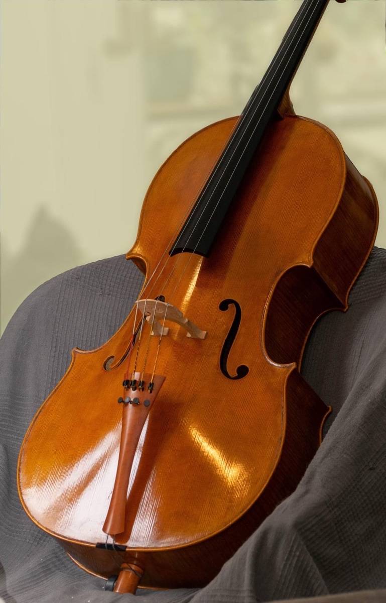 Vente violoncelle sur Gens de Confiance
