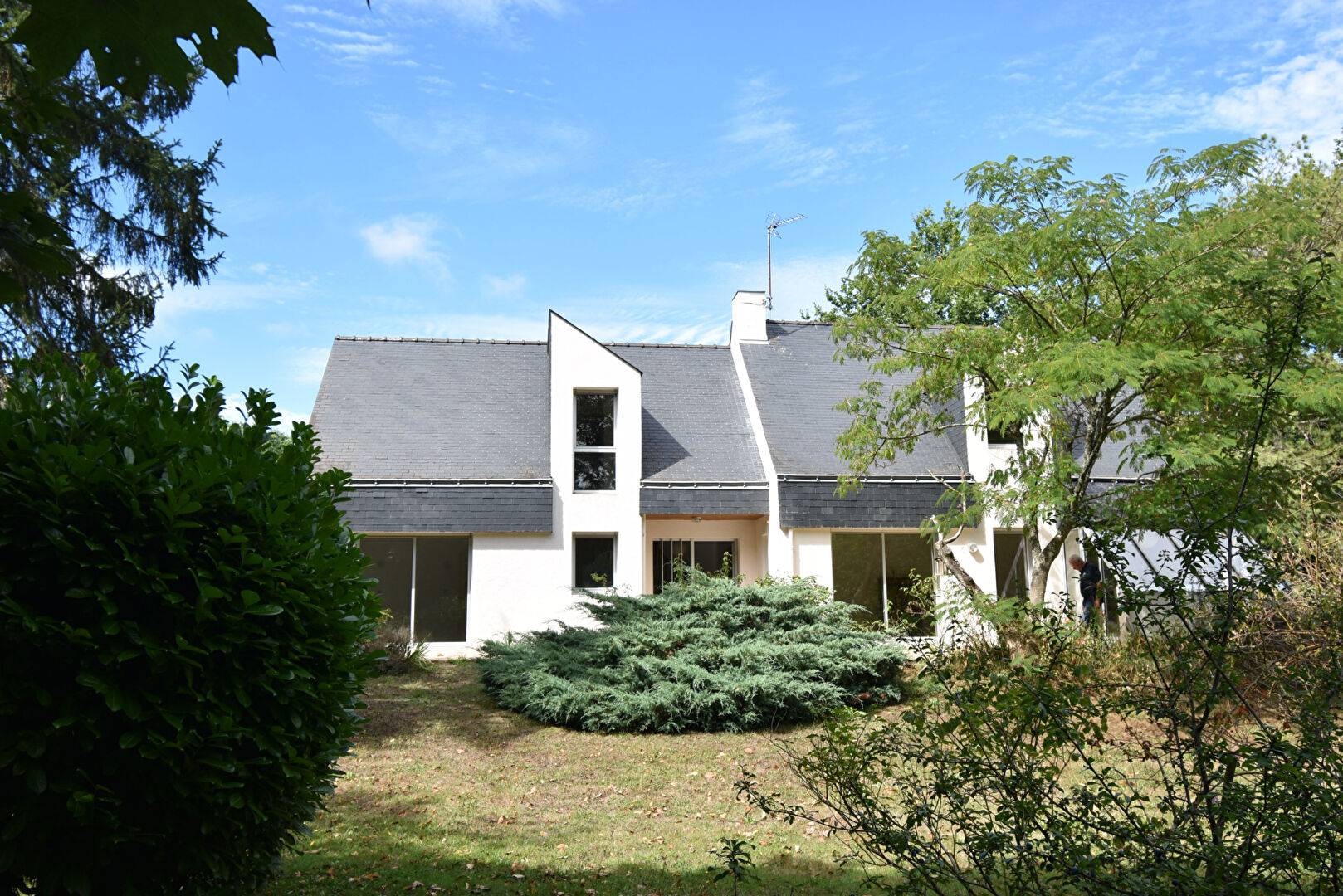 Une photo de l’annonce