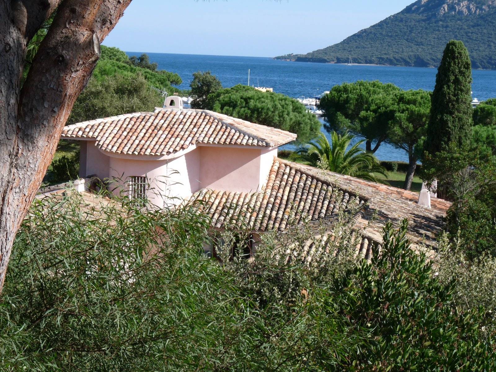 Loue villa les pieds dans la mer - 6 couchages - Marina di Fiori