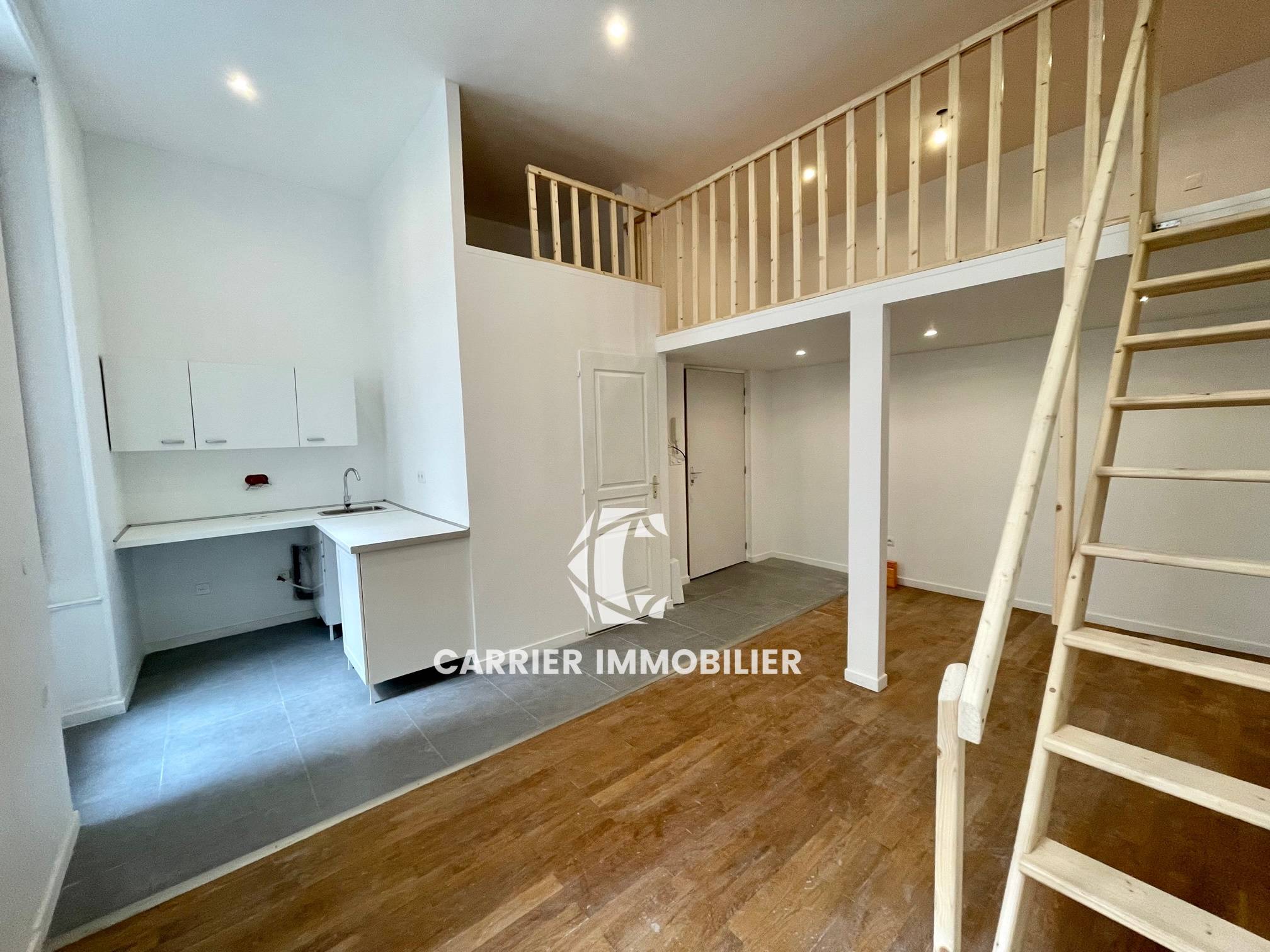 Vends Quai St Vincent Appartement avec mezzanine rénové 24m², Lyon