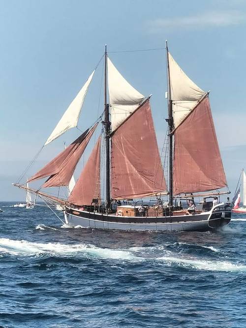 Propose visite d’un bateau historique à Paimpol