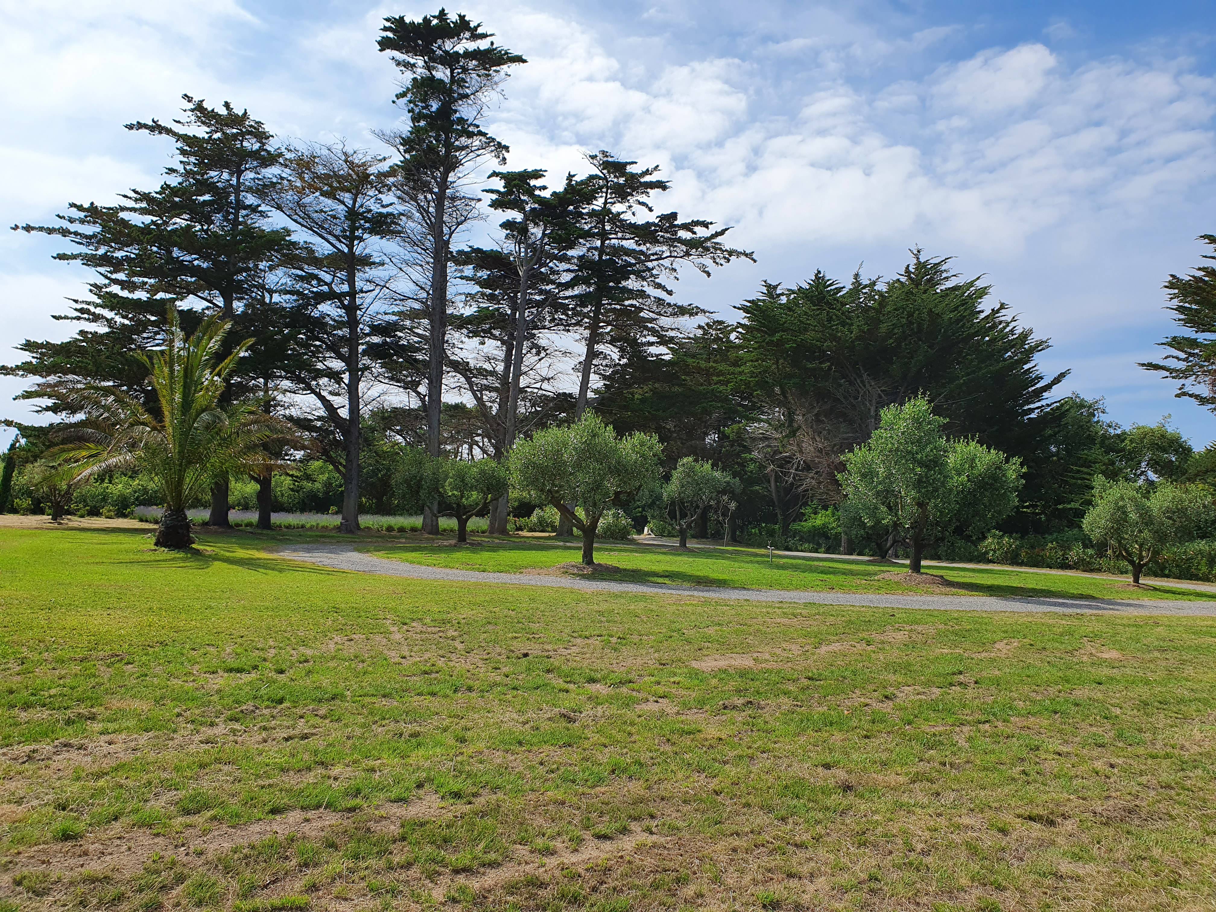 Votre mariage à l’ILE d’YEU dans parc paysager méditerranéen